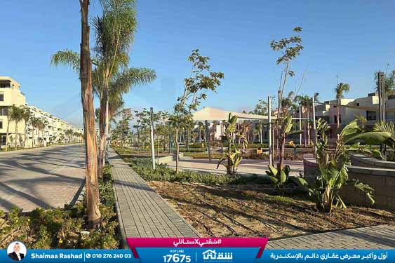 WhatsApp Image 2025-10-28 at 4.53.38 PM