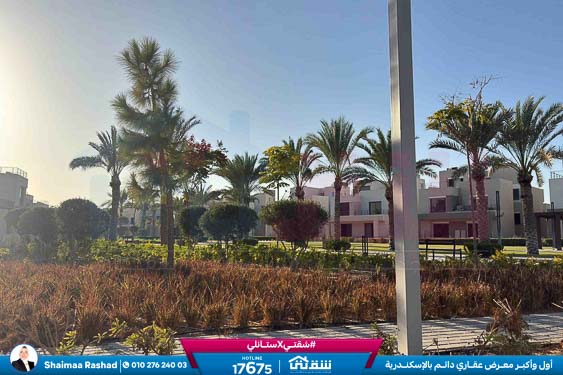 WhatsApp Image 2025-10-28 at 4.53.39 PM