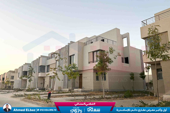 WhatsApp Image 2025-10-29 at 1.40.40 PM (1)