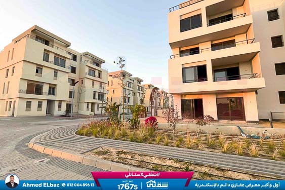 WhatsApp Image 2025-10-29 at 1.40.59 PM