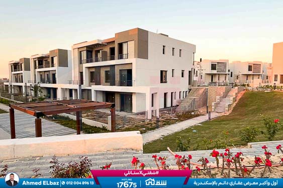 WhatsApp Image 2025-10-29 at 1.41.01 PM