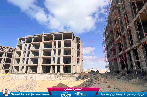 WhatsApp Image 2025-11-09 at 3.40.24 PM