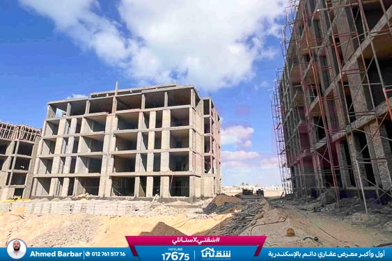 WhatsApp Image 2025-11-09 at 3.40.24 PM