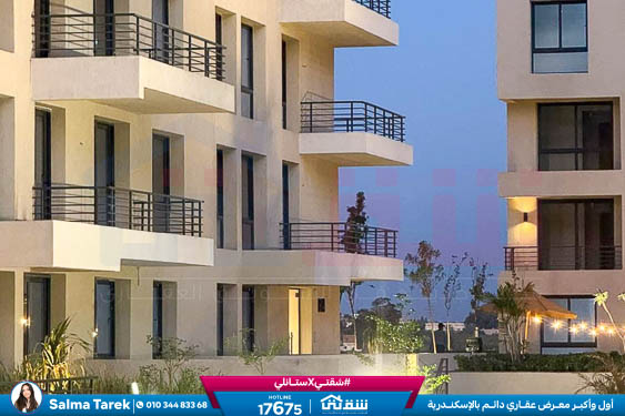 WhatsApp Image 2025-11-10 at 1.00.53 PM (1)