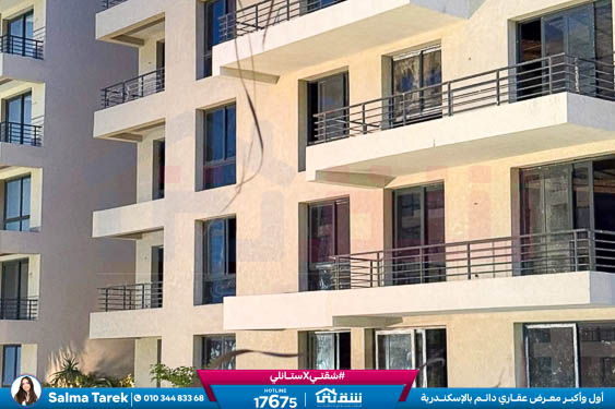 WhatsApp Image 2025-11-10 at 1.00.53 PM