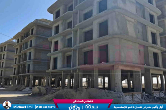 WhatsApp Image 2025-11-10 at 11.16.01 AM (3)