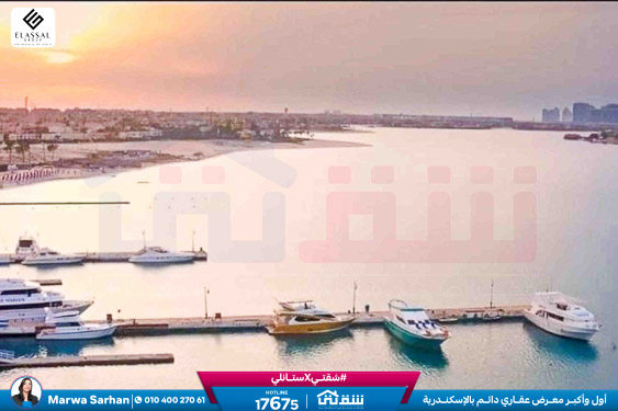 WhatsApp Image 2025-11-10 at 12.00.01 AM