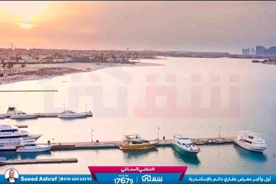 WhatsApp Image 2025-11-10 at 12.00.01 AM