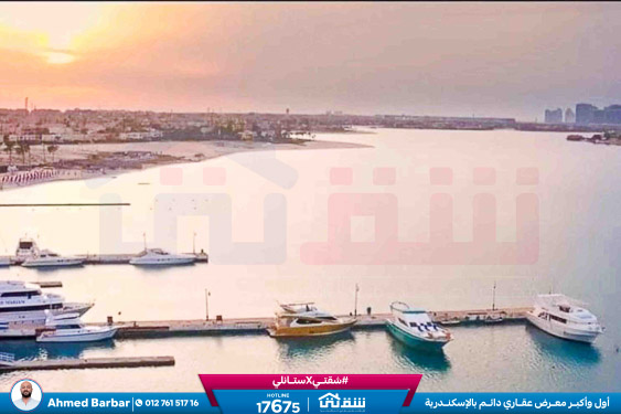 WhatsApp Image 2025-11-10 at 12.00.01 AM