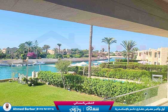 WhatsApp Image 2025-11-10 at 12.00.26 AM