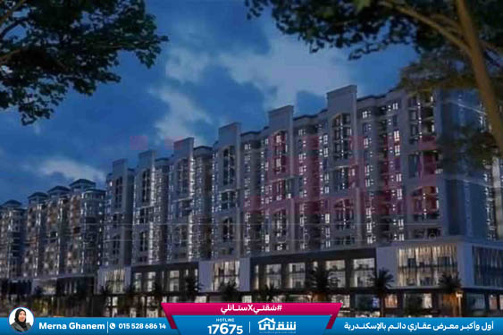 WhatsApp Image 2025-11-11 at 1.24.07 PM