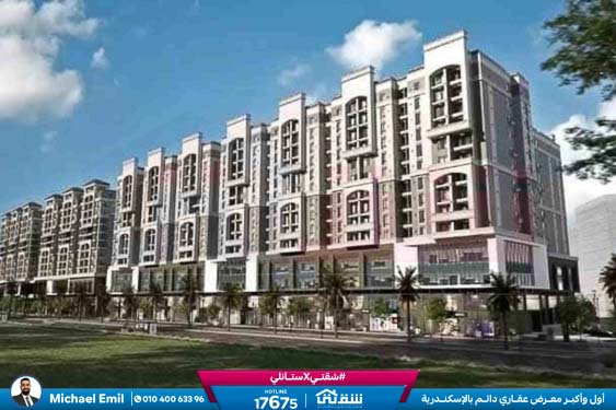 WhatsApp Image 2025-11-11 at 1.24.08 PM