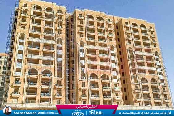 WhatsApp Image 2025-11-14 at 3.10.08 PM (1)