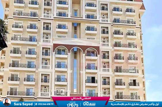 WhatsApp Image 2025-11-18 at 15.48.41