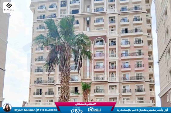 WhatsApp Image 2025-11-18 at 15.48.42 (1)