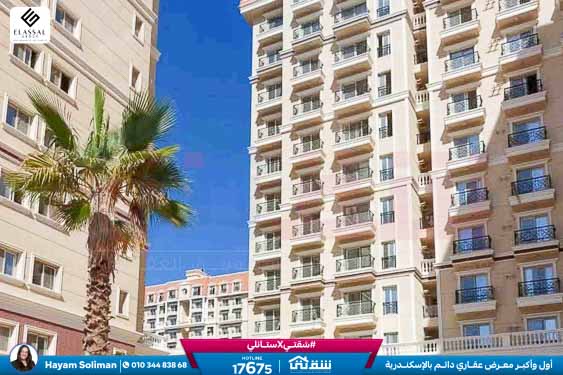 WhatsApp Image 2025-11-18 at 15.48.42 (2)