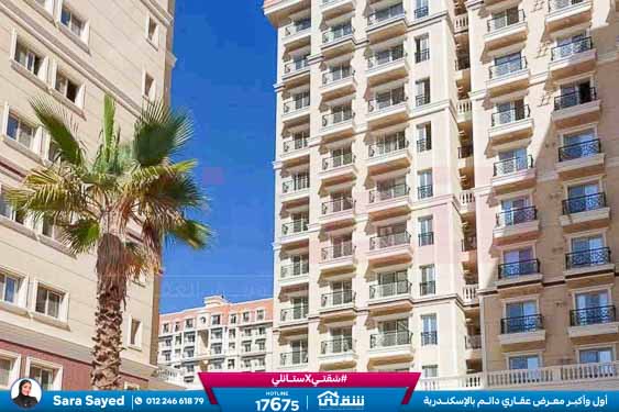 WhatsApp Image 2025-11-18 at 15.48.42 (2)