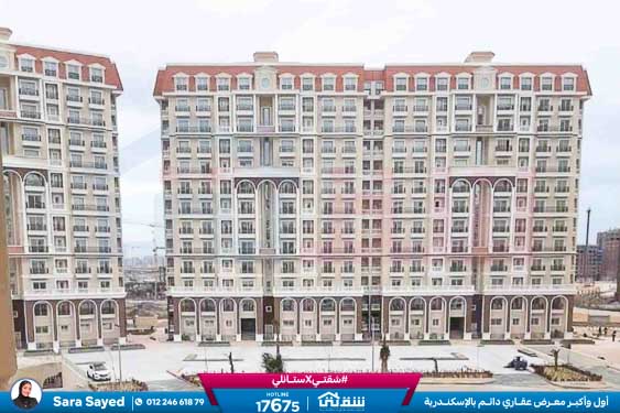 WhatsApp Image 2025-11-18 at 15.48.42 (3)