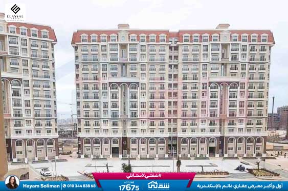 WhatsApp Image 2025-11-18 at 15.48.42 (3)