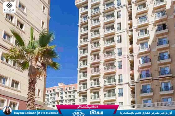 WhatsApp Image 2025-11-18 at 15.48.42