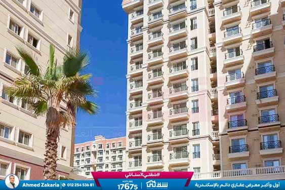 WhatsApp Image 2025-11-18 at 15.48.42