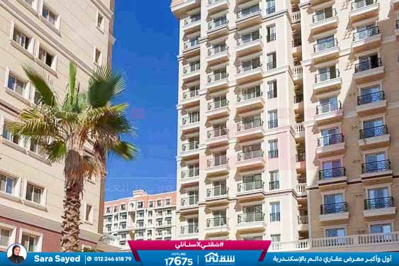 WhatsApp Image 2025-11-18 at 15.48.42