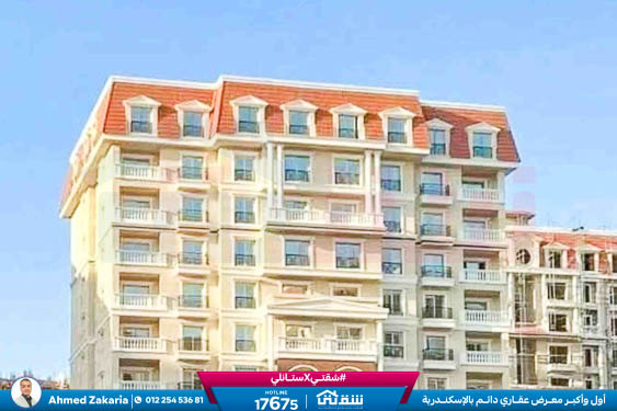 WhatsApp Image 2025-11-18 at 15.48.43