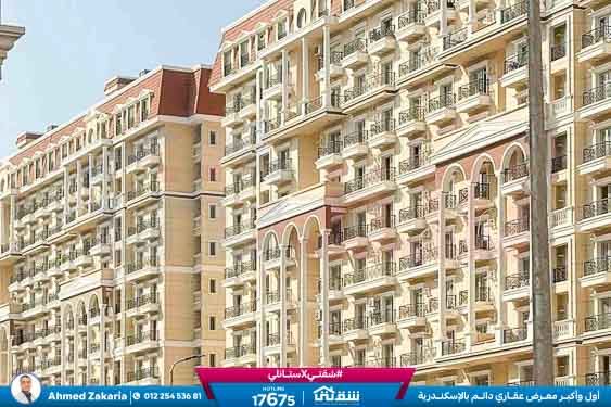 WhatsApp Image 2025-11-18 at 15.48.43 (2)