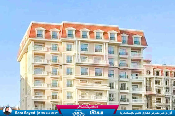 WhatsApp Image 2025-11-18 at 15.48.43