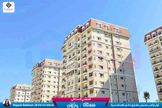 WhatsApp Image 2025-11-18 at 15.48.44 (3)