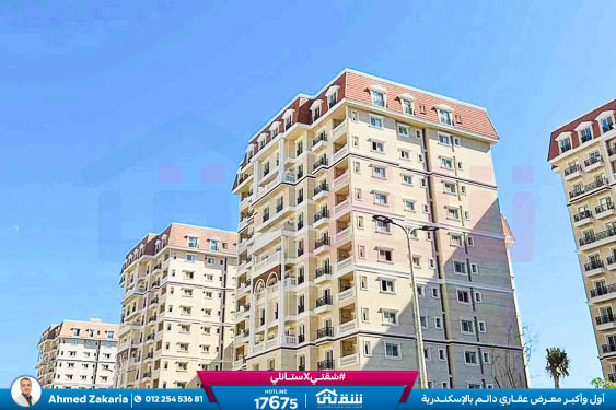 WhatsApp Image 2025-11-18 at 15.48.44 (3)