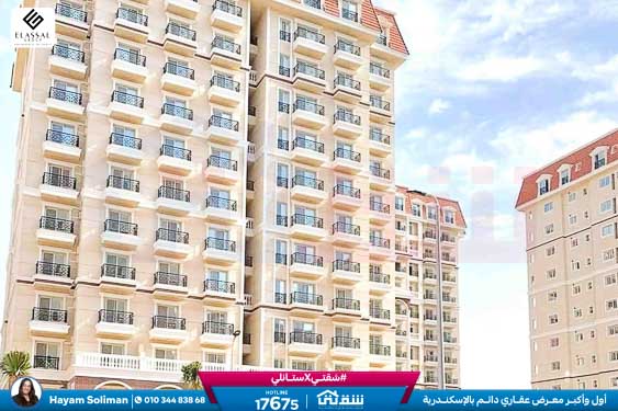 WhatsApp Image 2025-11-18 at 15.48.44