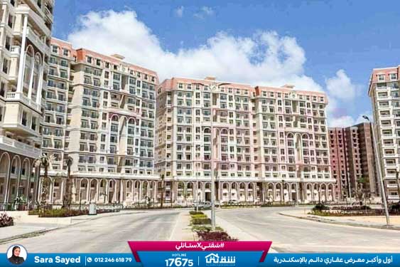 WhatsApp Image 2025-11-18 at 15.48.45 (1)