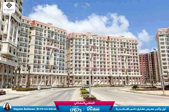 WhatsApp Image 2025-11-18 at 15.48.45 (1)