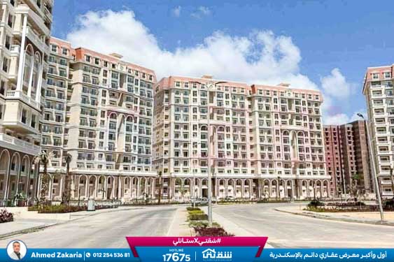 WhatsApp Image 2025-11-18 at 15.48.45 (1)