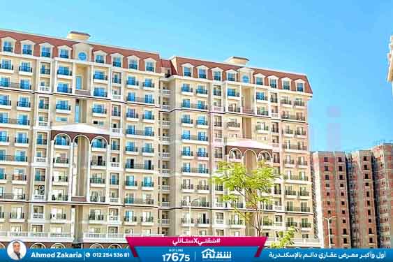 WhatsApp Image 2025-11-18 at 15.48.45