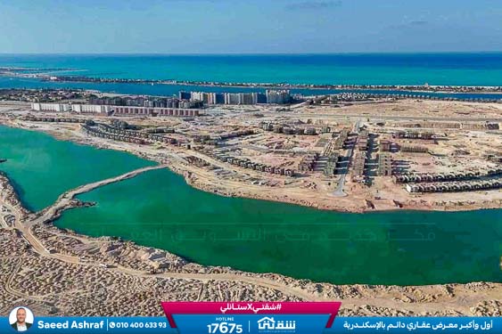 WhatsApp Image 2025-11-20 at 14.05.07 (1)