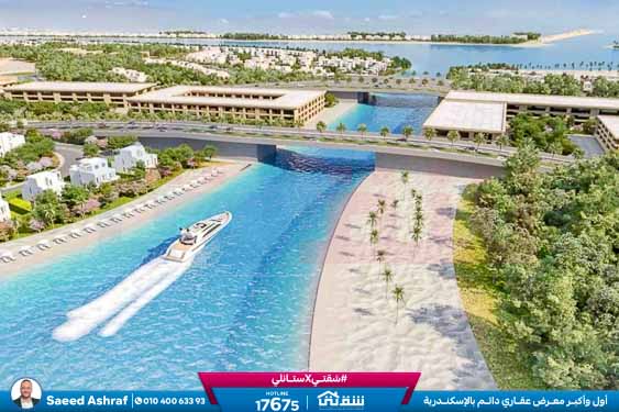 WhatsApp Image 2025-11-20 at 14.05.11