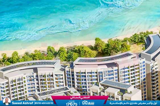 WhatsApp Image 2025-11-20 at 14.05.12 (1)