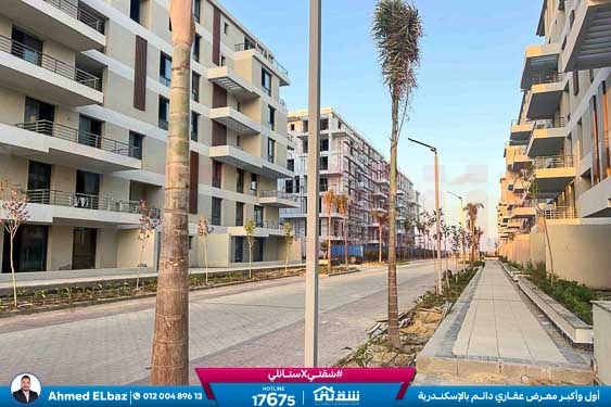 WhatsApp Image 2025-11-24 at 7.40.43 PM (1)