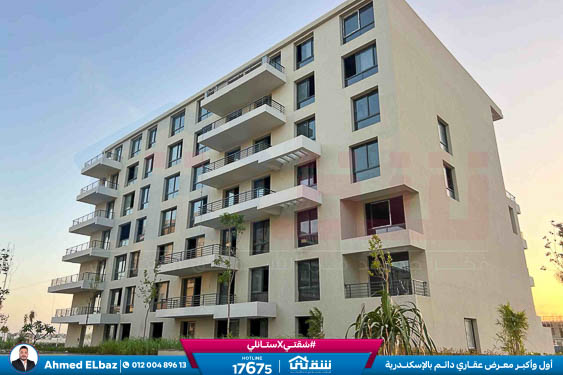 WhatsApp Image 2025-11-24 at 7.40.44 PM