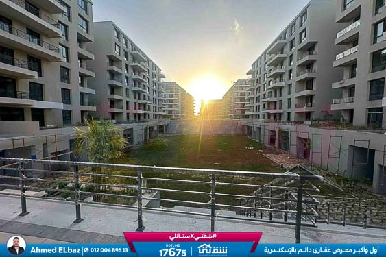 WhatsApp Image 2025-11-24 at 7.40.46 PM