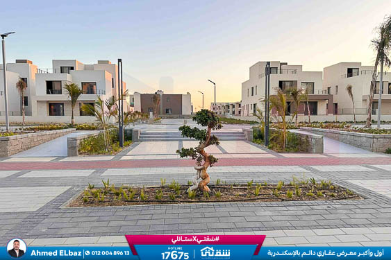 WhatsApp Image 2025-11-24 at 7.54.25 PM