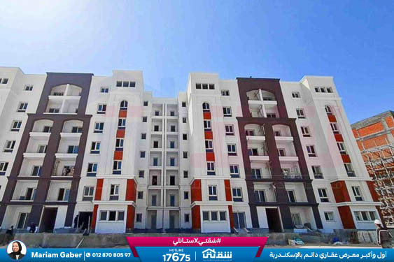 WhatsApp Image 2025-11-26 at 16.14.00