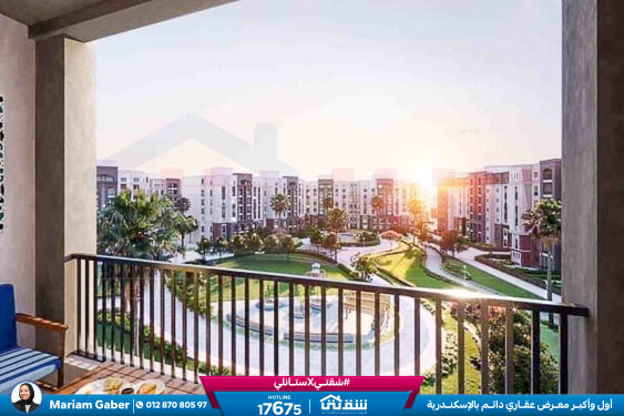 WhatsApp Image 2025-11-26 at 16.14.02