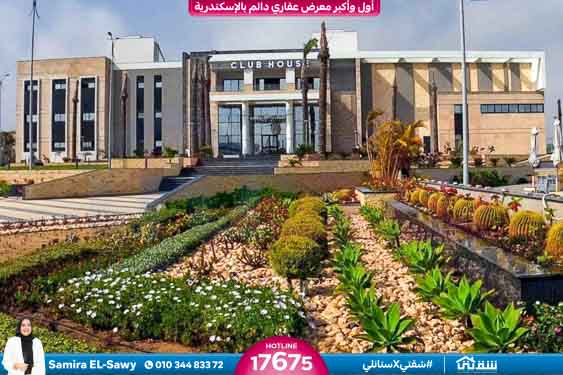 WhatsApp Image 2025-11-26 at 16.14.06