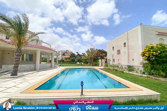 WhatsApp Image 2025-11-26 at 7.00.02 PM (1)