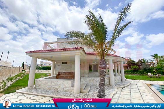 WhatsApp Image 2025-11-26 at 7.00.06 PM (3)