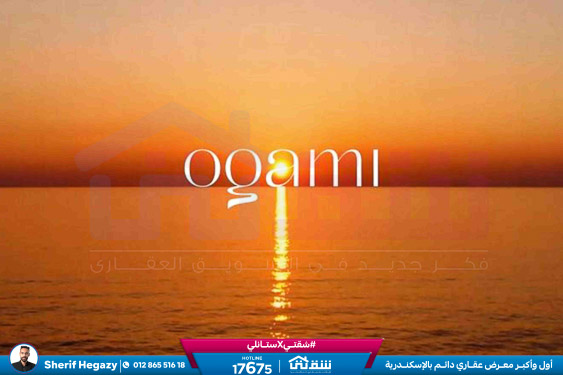 WhatsApp Image 2025-11-27 at 18.11.29 (3)