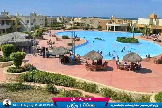 WhatsApp Image 2025-11-27 at 18.13.54 (1)